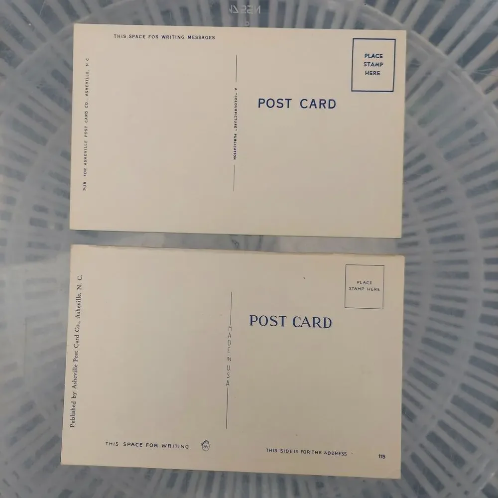 Vintage Asheville Post Card Company Staying Put Comic Linen Lot 2 Count